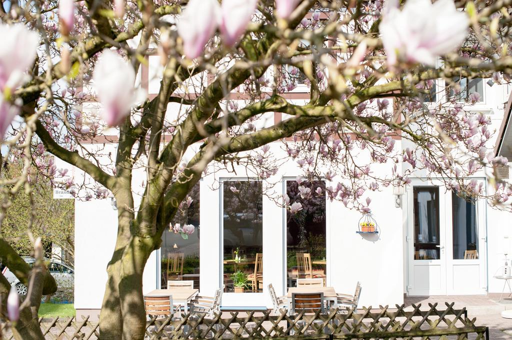 Hotel & Restaurant - Gasthaus Brandner Trendelburg Eksteriør bilde
